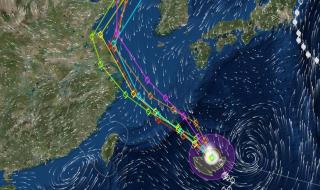 10级台风有多大威力