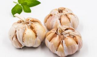 中国大蒜网 中国大蒜网