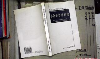 新企业会计制度 新企业会计制度