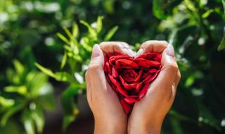 完成轮回任务怎么做 完成轮回任务怎么做