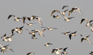 中国海洋大学研究生