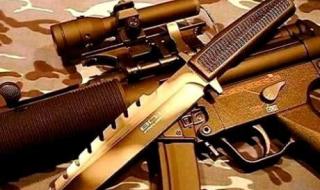 三国无双310级武器 三国无双310级武器