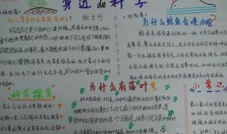 小学生科技小报 小学生科技小报