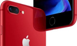 为什么网速这么慢