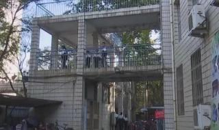 淄博十七中 淄博十七中