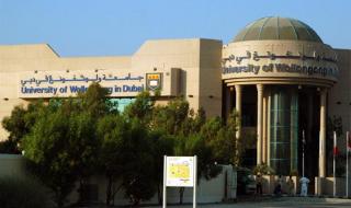 卧龙岗大学 卧龙岗大学