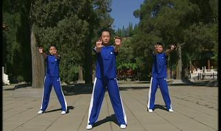武术健身操 武术健身操