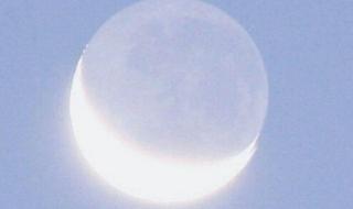 日久生情下一句是什么 日久生情下一句是什么