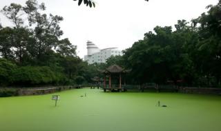 四川机电职业技术学院 四川机电职业技术学院