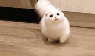 哒哒哒是什么歌 哒哒哒是什么歌