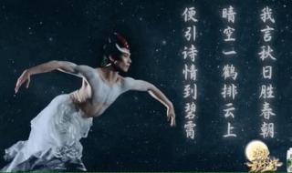 中秋奇妙游完整版