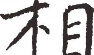 相见不如怀念日文版