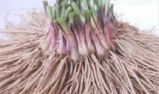 四季之美课堂笔记