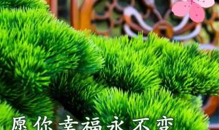 立冬朋友圈怎么发文字 立冬朋友圈怎么发文字