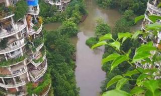 天鹅湖花园小区 天鹅湖花园小区