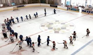 2022冬奥会15大项目 2022冬奥会15大项目